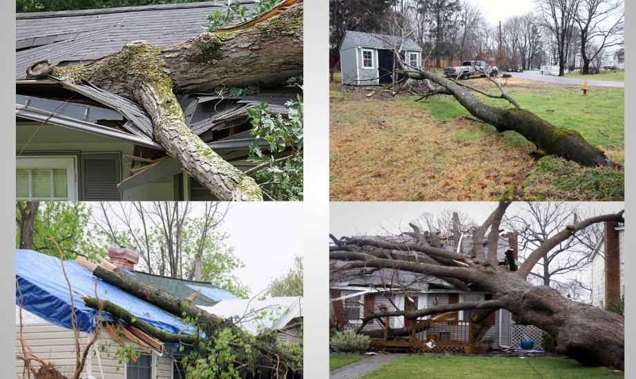 Storm damage restoration work